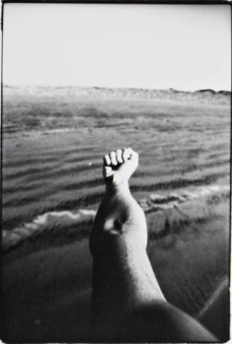 Baja, California (16 January 1980), sequence of 6