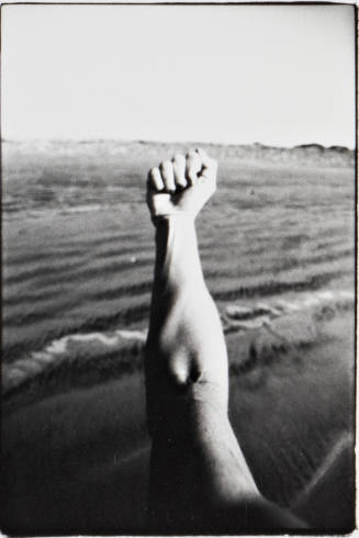 Baja, California (16 January 1980), sequence of 6