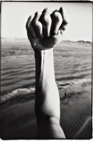 Baja, California (16 January 1980), sequence of 6