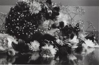 The Dream of Flowers