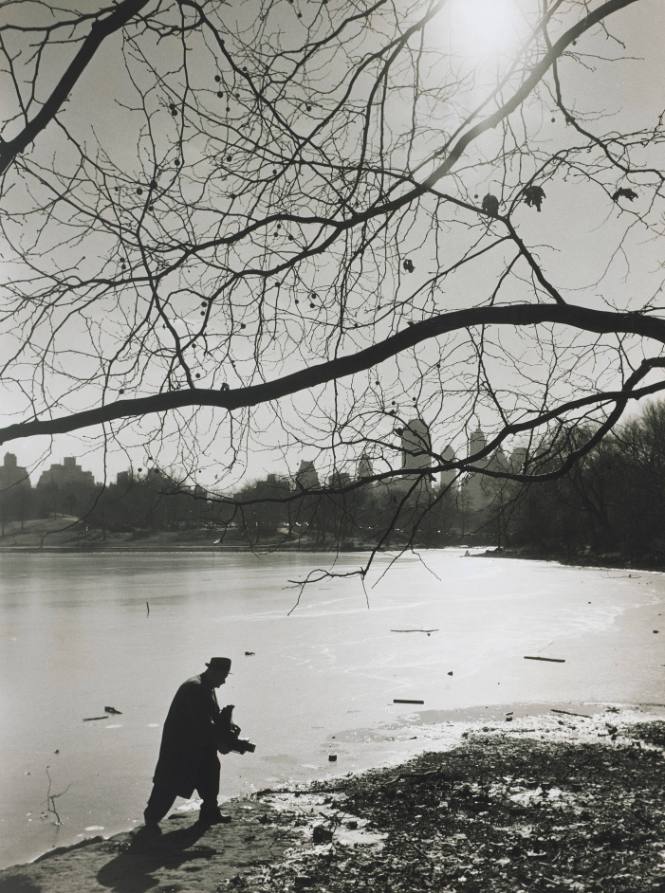 Roman Vishniac with Graflex Camera, Central Park, New York City