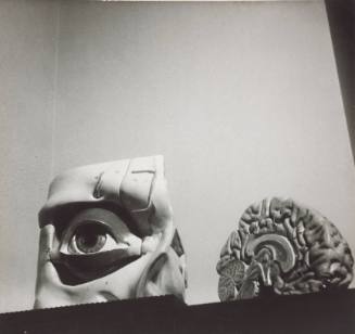 Eye and Brain