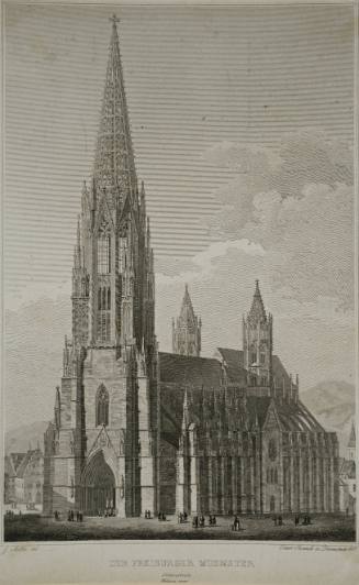 Der Freiburger Muenster (Sudwestseite Felsing impr.)