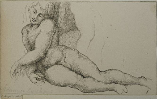 Adam in Creation