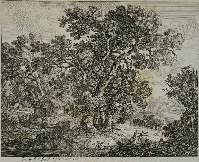 Rural Landscape