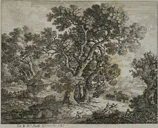 Rural Landscape