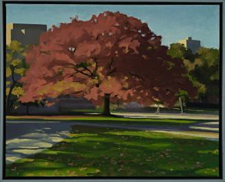 Fall Oak