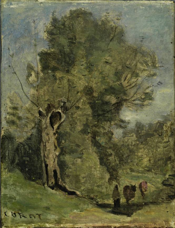 Woodland Scene
