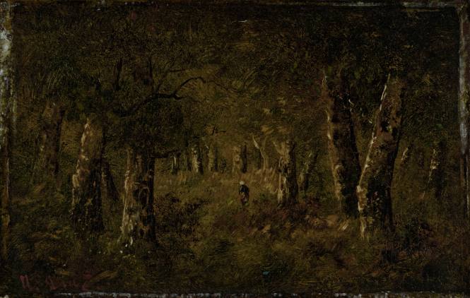Forest