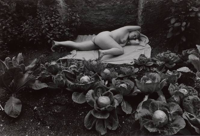 Woman in Cabbage Garden