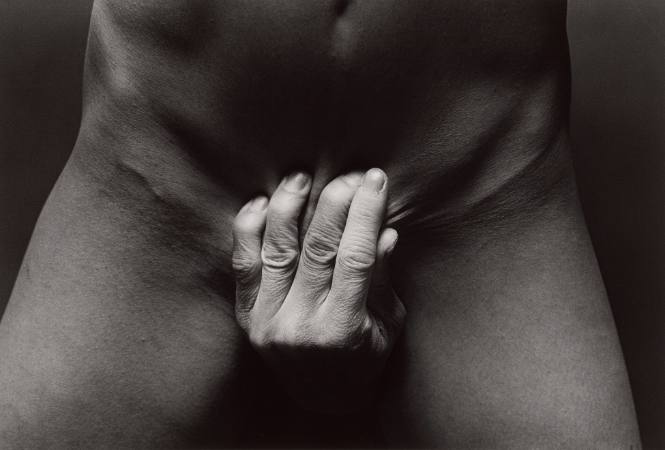 Embrace #47