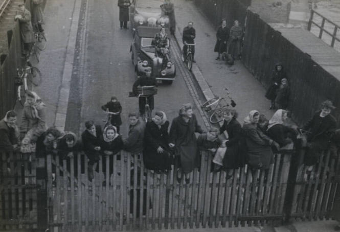Untitled [Crowd sits atop fence]