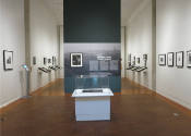 Gordon Parks: The Making of an Argument