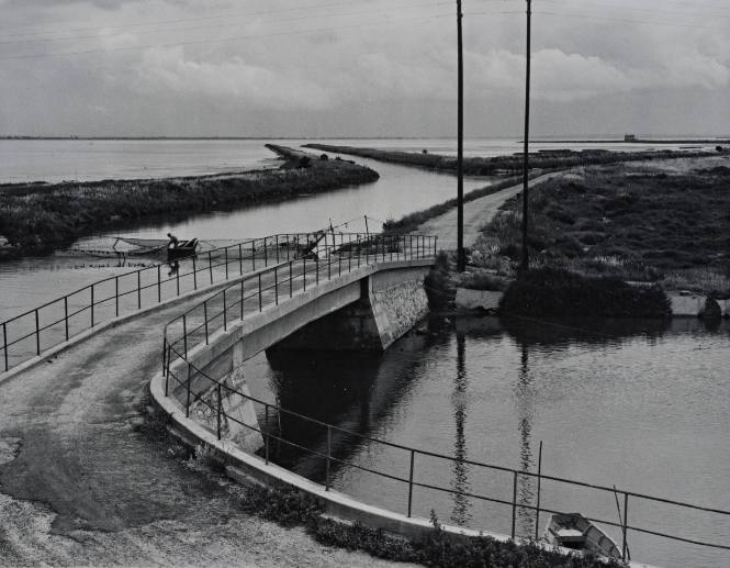 The Camargue