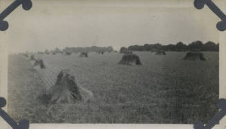 Untitled [Field of Haystacks]