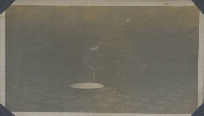 Untitled [Cat leans down toward bowl, stands on table]