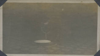 Untitled [Cat leans down toward bowl, stands on table]
