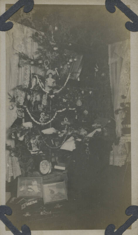 Untitled [Christmas tree]