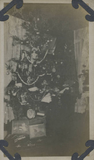 Untitled [Christmas tree]