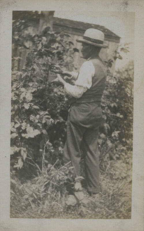Untitled [Man stands in garden, faces plants]