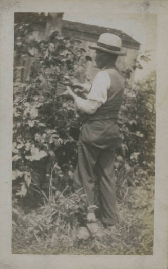 Untitled [Man stands in garden, faces plants]