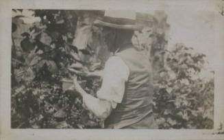 Untitled [Man stands in garden, faces plants, holds basket]