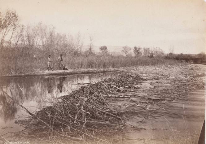 William Henry Jackson