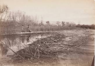 Beaver Dam