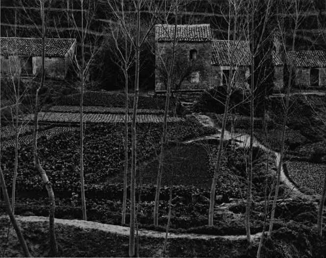 Landscape