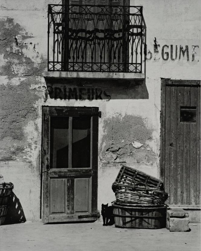 Shop, Le Bacarès