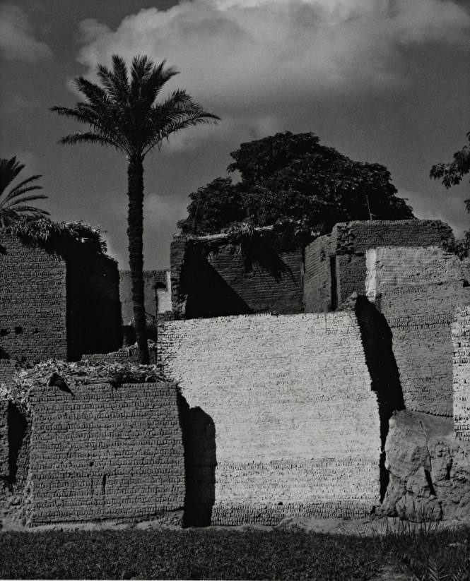 Bani Salah, Fayyum, Egypt