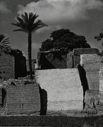 Bani Salah, Fayyum, Egypt