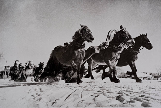 Russian Troika (horse carriages in the snow)
