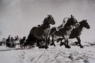 Russian Troika (horse carriages in the snow)