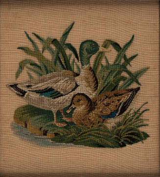 Sampler: Pictorial Needlework