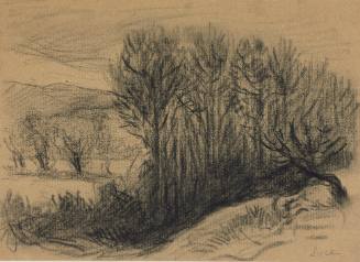 Wooded Field