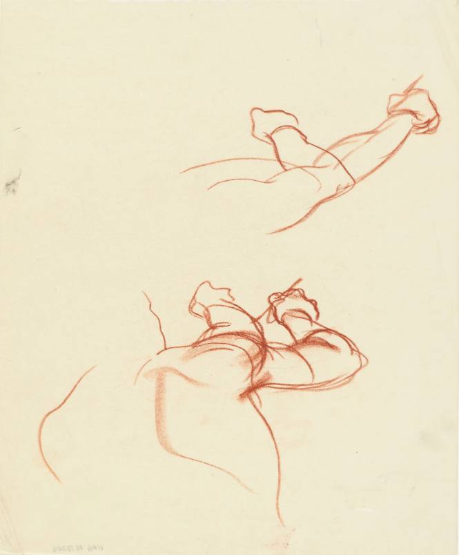 Untitled Figure Study