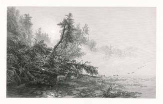 Forest Pond