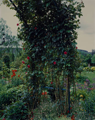 Untitled (from Giverny, France Series)