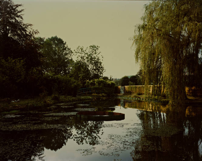 Untitled (from Giverny, France Series)