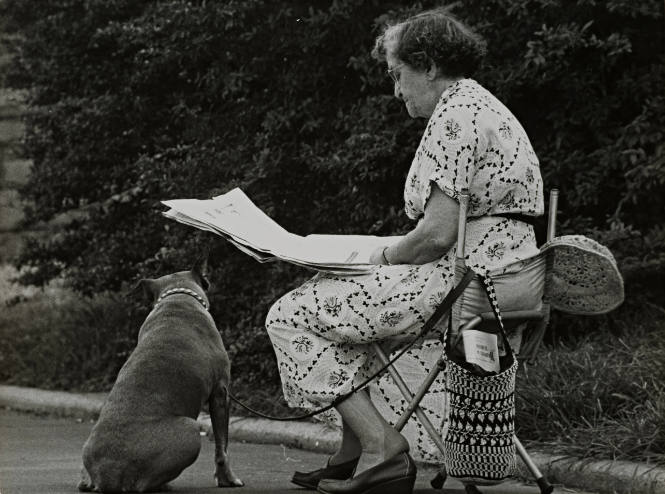 NYC Candids, Summer, Woman and Dog