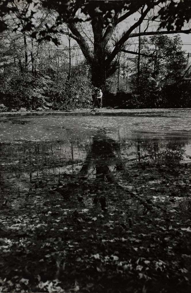 Roman Vishniac photographing reflections and patterns created by the wind on surface of a pond near Carmel, New York