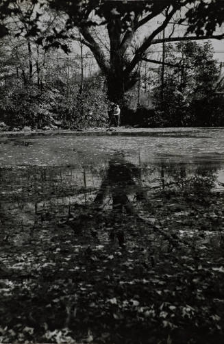 Roman Vishniac photographing reflections and patterns created by the wind on surface of a pond near Carmel, New York