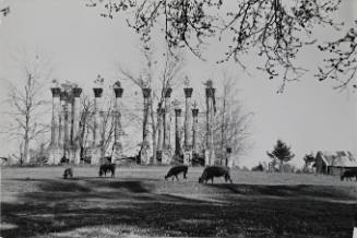 Plantation House, Windsor, Mississippi