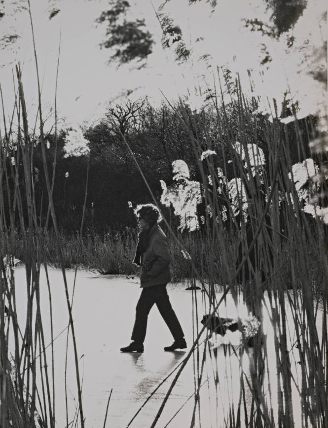 Patricia D. Willson, Wamphassuc Point, Stonington, Connecticut 