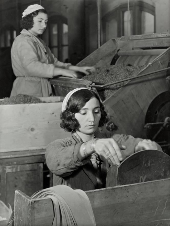 Turkish Working Class Families