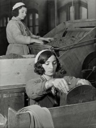 Turkish Working Class Families