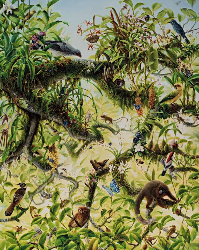 Canopy, from Exit Art portfolio, 2011: SEA (Social-Environmental Aesthetics)