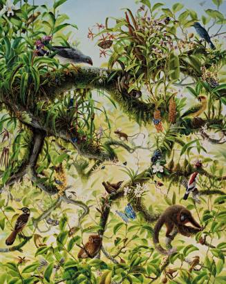 Canopy, from Exit Art portfolio, 2011: SEA (Social-Environmental Aesthetics)