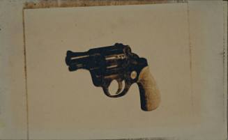 Handguns (from the Handguns Series)